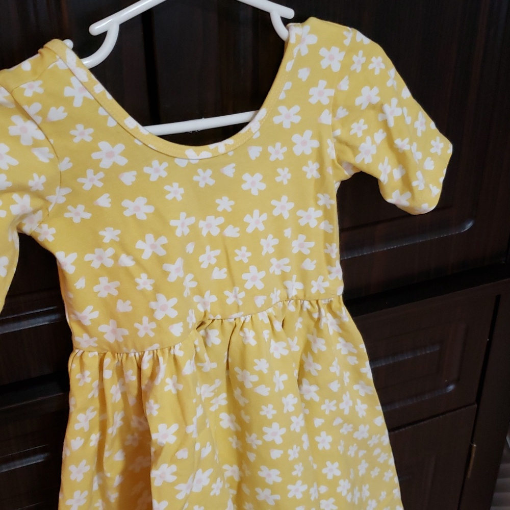 Alice + Ames Short Sleeve Ballet Dress In "Daisy", Size 4T - Picture 4 of 4